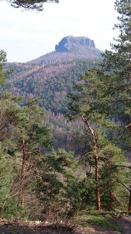 Apartament Haus Angermann Struppen Zewnętrze zdjęcie
